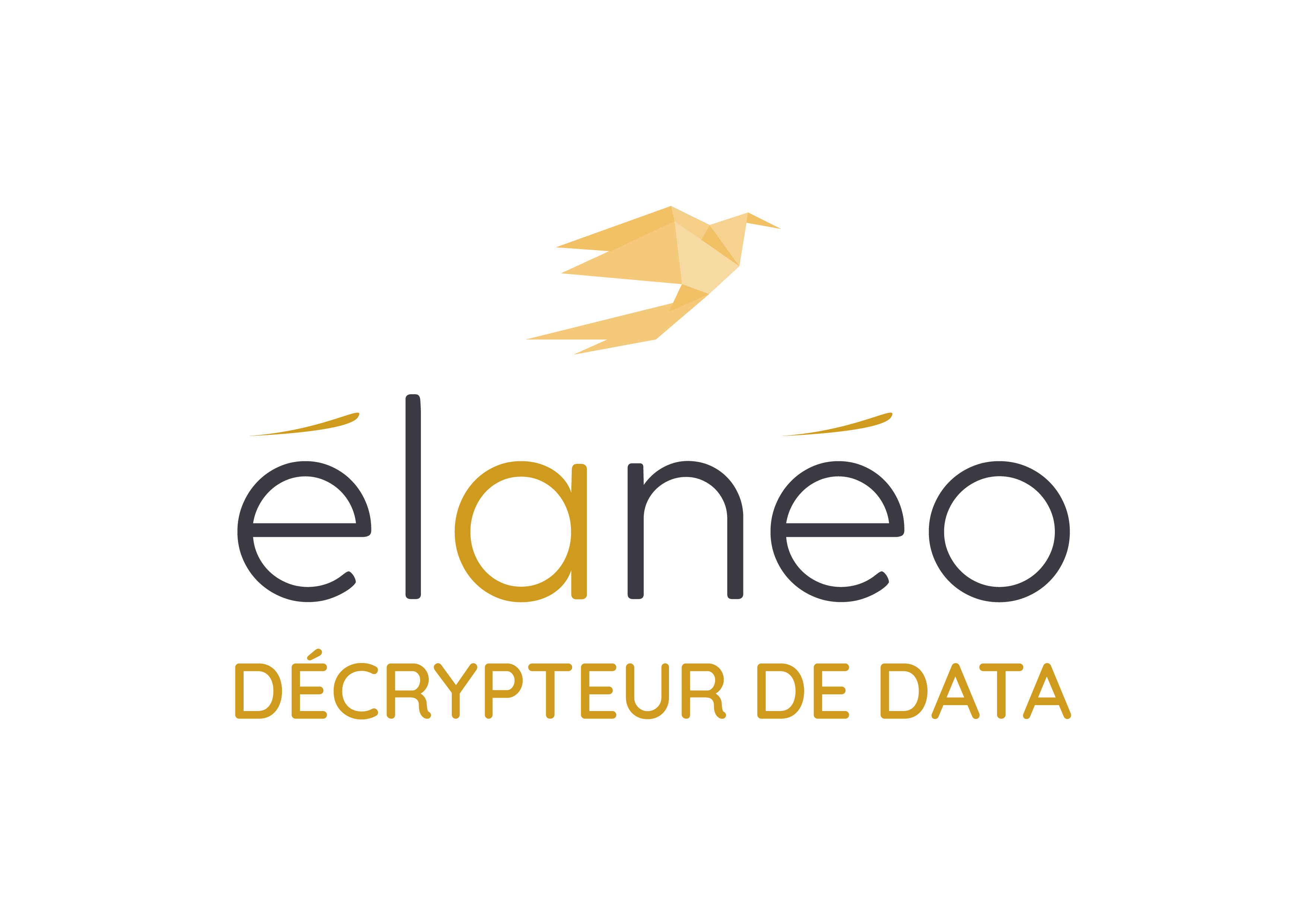 Élanéo - Décrypteur de data